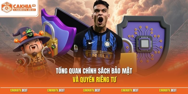 Tổng quan chính sách bảo mật và quyền riêng tư 